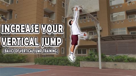 HOW TO INCREASE VERTICAL JUMP || BASICS OF VERTICAL JUMP TRAINING ...