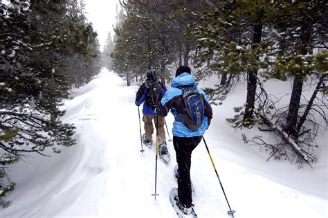 3 full-moon snowshoe hikes announced in Midway | Winter hiking, Winter ...