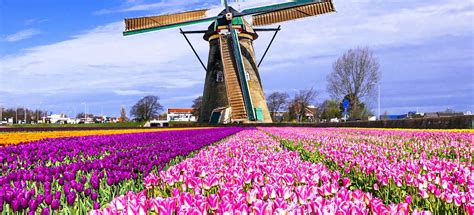 Super Tulip Bike and Barge Tour - Netherlands | Tripsite