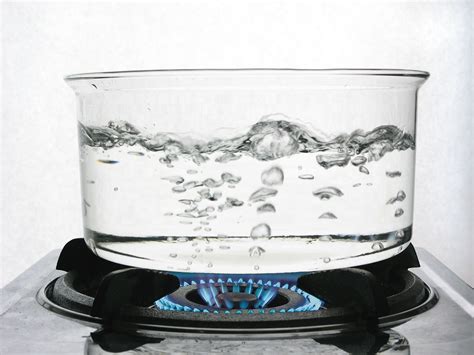 How Long to Boil Water to Purify - BD Water Purifier