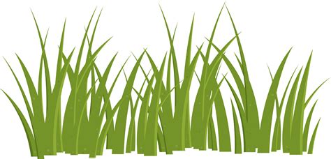 Cartoon grass leaves clip art 21830928 PNG