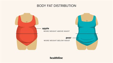 Heart Disease and Obesity: What the Research Shows