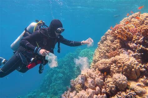 Protecting the Great Barrier Reef: Ultimate Guide to Conservation ...