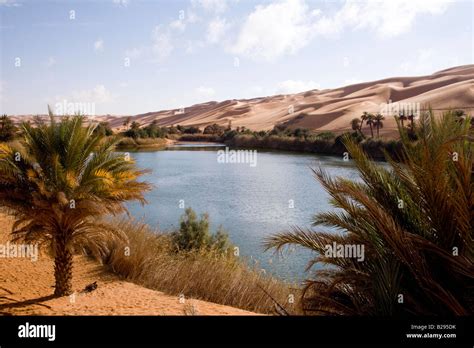 Oasis Sahara Desert Stock Photos & Oasis Sahara Desert Stock Images - Alamy