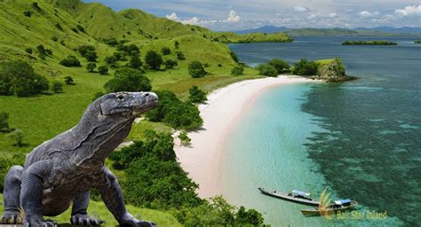 Komodo National Park | UNESCO World Heritages - Komodo Dragon