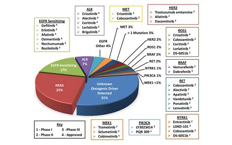 Update to the “Molecular Testing Guideline for Selection of Lung Cancer ...