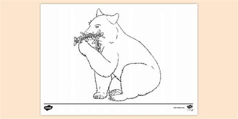 Bear Eating Berries Colouring Sheet | Colouring Sheets