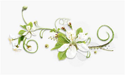 Sympathy Flower With Transparent Background , Free Transparent Clipart ...