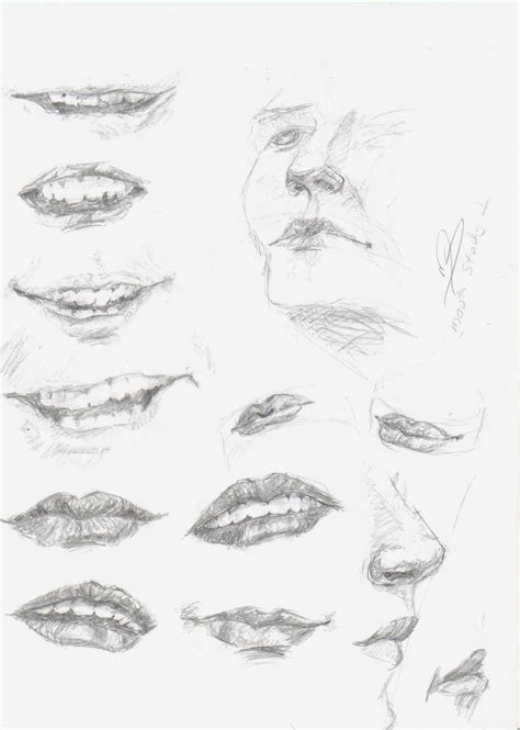 How To Draw A Human Mouth Smiling