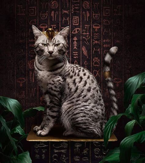 pharaohs Egypt on Instagram: “#Catlovers FOLLOW ️ @pharaohsegyptian for ...