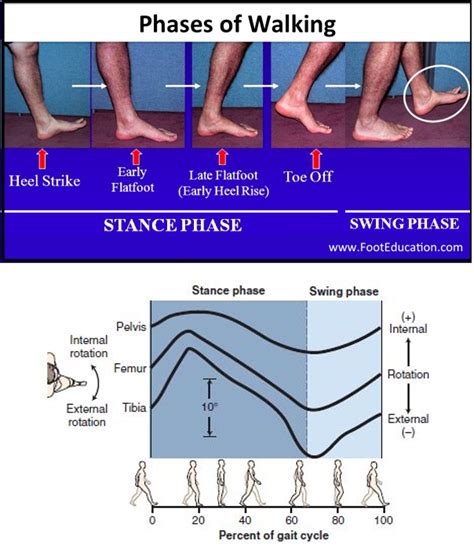 3 Highly Effective Exercises for Ankle Mobility & Dorsiflexion