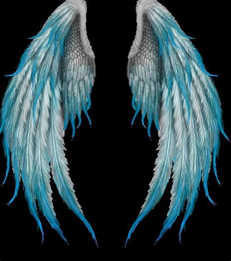 Pin by Akshaya Paraja on Hd background download | Angel wings drawing ...