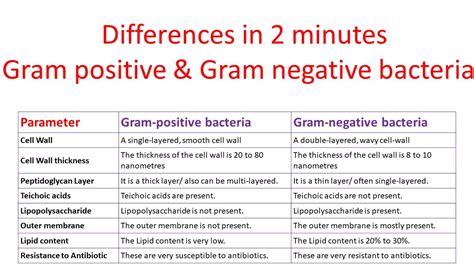 Gram Positive Vs Gram Negative Bacteria Differences With Examples | The ...