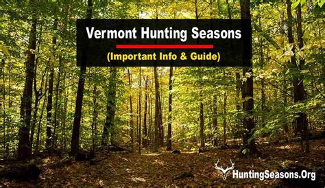 2024-2025 Vermont Hunting Seasons New Regulations & Dates!