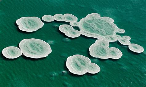 Dead Sea Salt Formations / Boing Boing