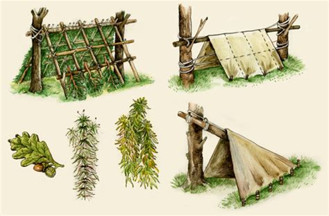 Survival Shelter Plans: It Starts with Your Gut | Gun Digest