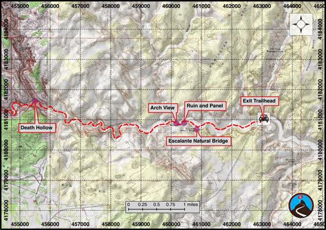 Hiking Upper Escalante River - Escalante | Road Trip Ryan