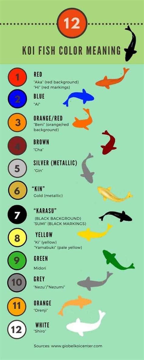 Color Symbolism Koi Fish Meaning Chart - Unique Fish Photo