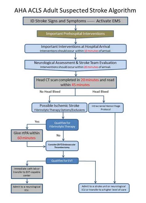 8 d of stroke care - harveygriffee