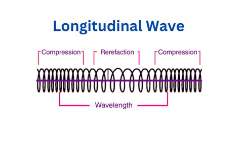 Longitudinal Waves-Definition, Characteristics, Speed, and Formula