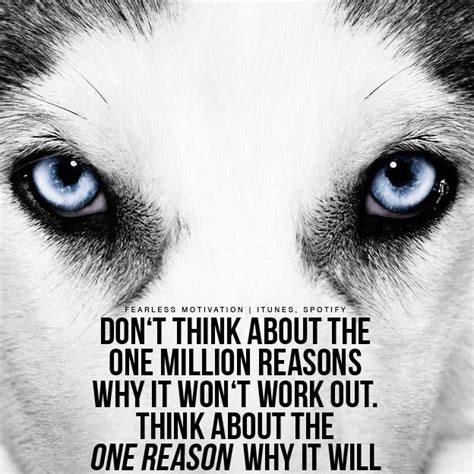 24 best Wolf Quotes | Motivational Wolf Quote Images & Wolves Picture ...