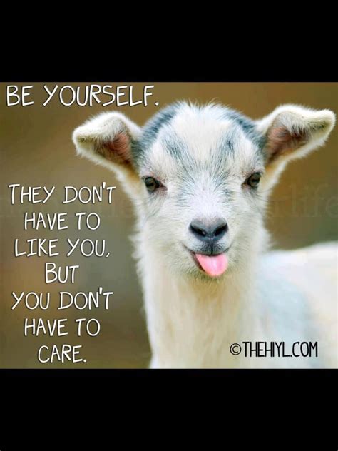 Pin by Mojii Mh on Quotes! | Pinterest | Goats, Animal and Baby goats