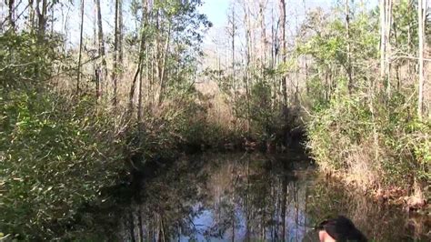 Okefenokee Swamp Park Boat Tour - YouTube