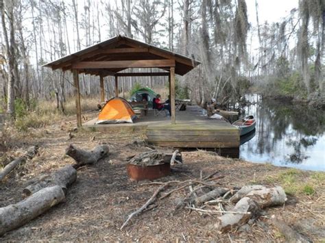 Camping and Canoeing in the Okefenokee Swamp