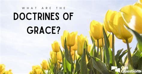 What are the doctrines of grace? | GotQuestions.org