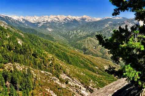 Kings Canyon National Park - Parkcation