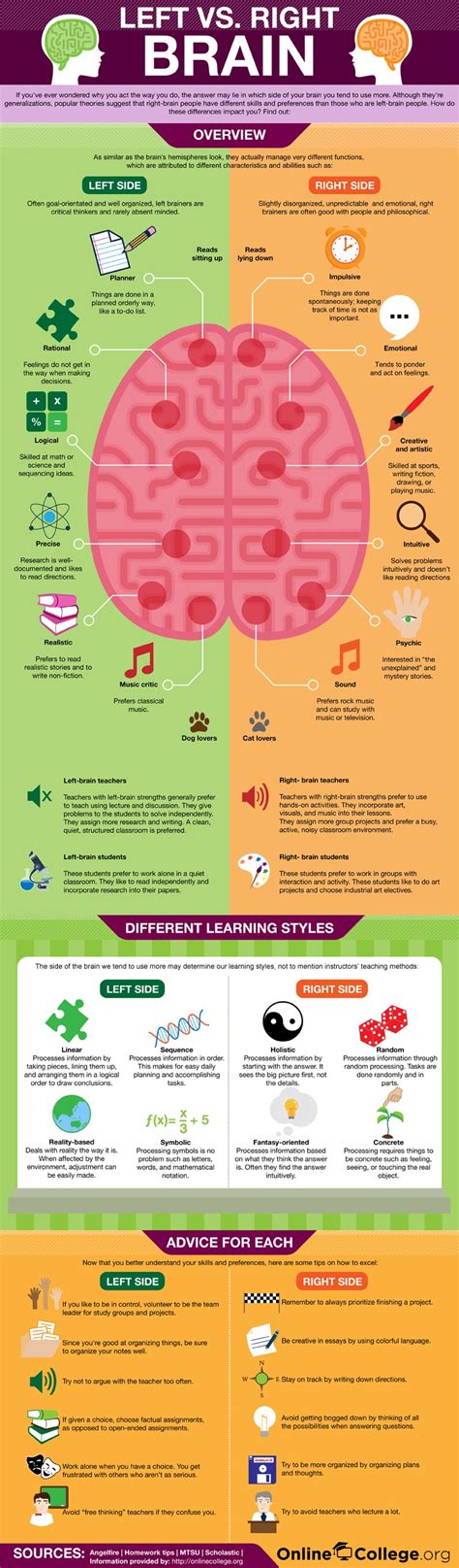 Left vs Right Brain Infographic - e-Learning Infographics