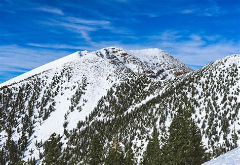 Flagstaff Weather - Current & Seasonal Temperatures