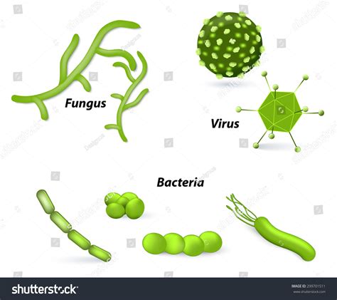 552 Virus Bacteria Fungus Parasite Images, Stock Photos & Vectors ...