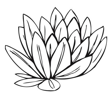 Water Lily Outline - ClipArt Best