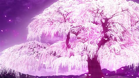 30++ Japanese Cherry Blossom Anime Wallpaper - Anime Top Wallpaper