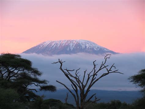 Sunrise on Mount Kilimanjaro | Smithsonian Photo Contest | Smithsonian ...