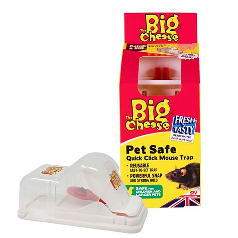 The Big Cheese - Effective Mouse Catch & Kill Pest Control Products