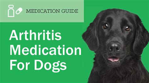 Prescription Arthritis Medications for Dogs | EntirelyPets