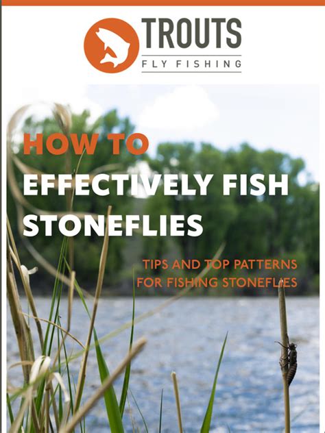 TROUTS Fly Fishing: How To Effectively Fish Stoneflies | Milled