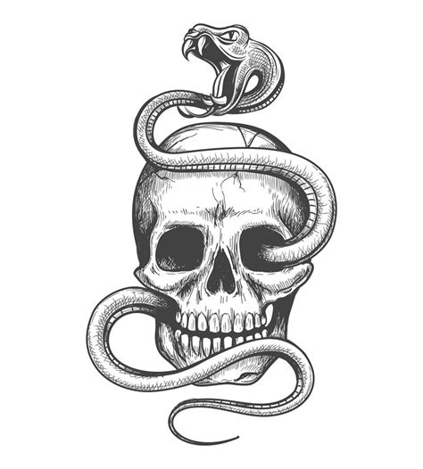 Skull Snake Tattoo Image & Vector Download | TheHungryJPEG