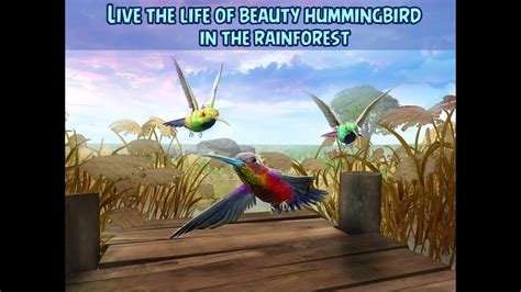 Hummingbird Simulator 3D Gameplay Video Android/iOS - YouTube