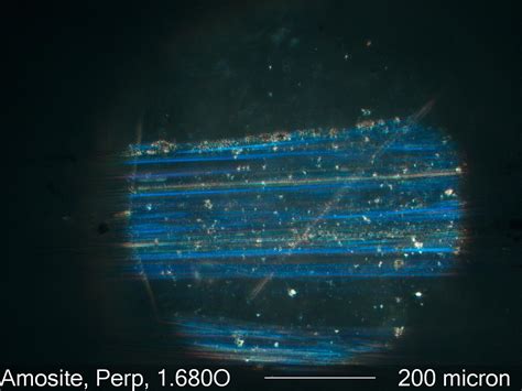 Amosite Asbestos, Objective Central Stop Dispersion Staining Under the ...