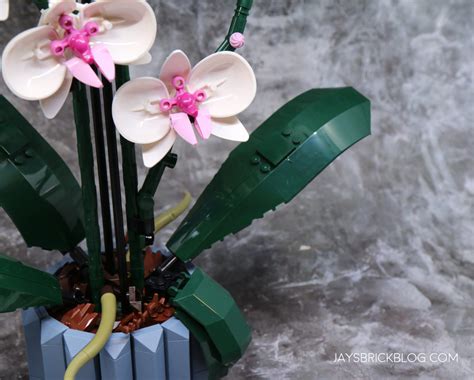 Review: LEGO 10311 Orchid (2022 Botanical Collection) - Jay's Brick Blog