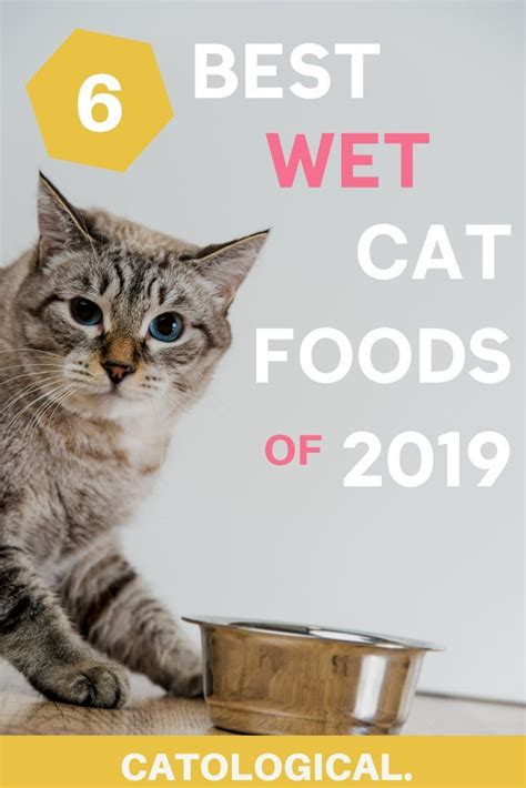 The best wet cat food brands with ratings reviews for 2022 – Artofit