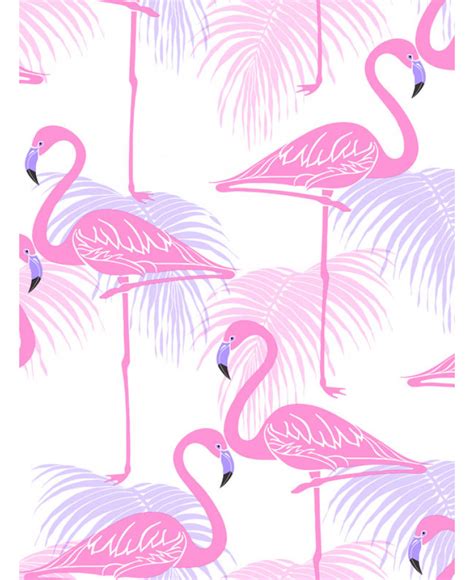 🔥 [16+] Flamingo Pink Wallpapers | WallpaperSafari