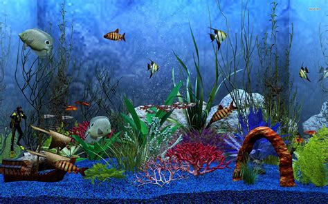 Aquarium HD 1080p Wallpaper - WallpaperSafari