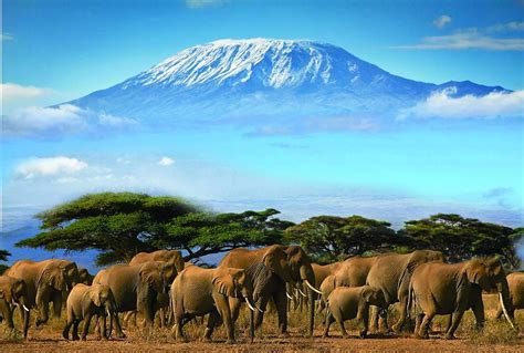 Amboseli National Park fees | Kenya Wildlife Safaris