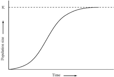 Logistic Growth Graph