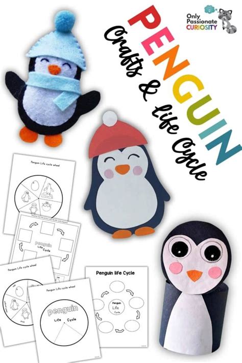 3 Penguin Crafts & Life Cycle Study