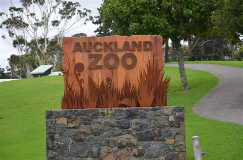 See a Kiwi at the Auckland Zoo - Languages International